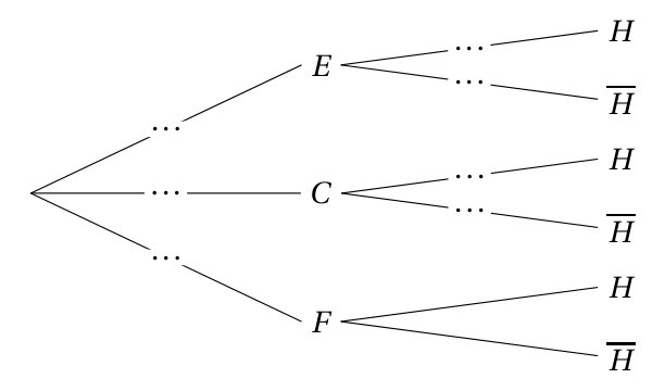 Arbre de probabilités à compléter : trois branches F, C, E, chacune suivie de deux branches H et H barre, avec des pointillés à la place des probabilités