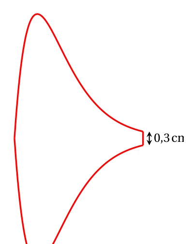Fig. 1 : contour du logo, symétrique par rapport à un axe horizontal, qui se termine à droite par un petit segment vertical de 0,3 cm