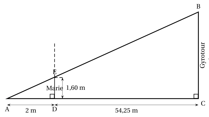 Schéma de l'ombre : triangle ABC rectangle en C, avec D sur [AC] tel que AD = 2 m et DC = 54,25 m, Marie représentée par le segment [DE] vertical de 1,60 m, E sur [AB], et la hauteur BC de la Gyrotour inconnue