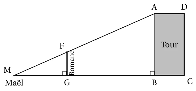 Maël au point M, Romane représentée par le segment FG perpendiculaire à MB, la tour représentée par le rectangle ABCD ; les points M, F, A sont alignés ainsi que M, G, B