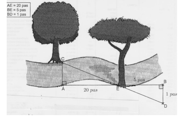 Schéma d'une rivière entre deux arbres : le point C sur la berge nord, A en face sur l'autre berge, E sur la berge, puis B et D alignés avec E et C ; AE = 20 pas, BE = 5 pas, BD = 1 pas, angles droits en A et en B