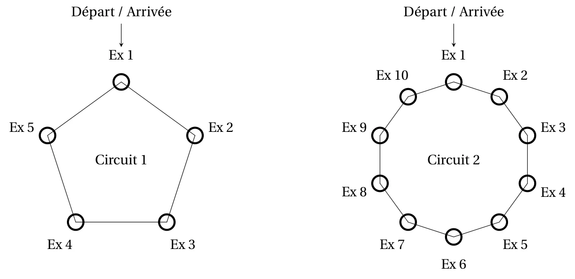 Circuit 1 : pentagone avec cinq exercices numérotés de 1 à 5, et circuit 2 : décagone avec dix exercices numérotés de 1 à 10, l'exercice 1 étant le départ et l'arrivée de chacun