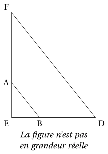 Triangle EFD rectangle en E, avec le point A sur [EF] et le point B sur [ED], et le segment [AB] parallèle à [FD] ; la figure n'est pas en grandeur réelle