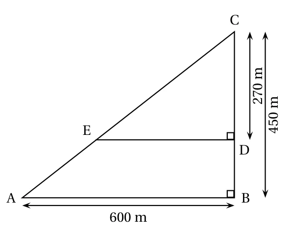 Triangle ABC rectangle en B avec AB = 600 m et BC = 450 m, le point D sur [BC] tel que CD = 270 m, le point E sur [AC] et le segment [ED] horizontal avec un angle droit en D